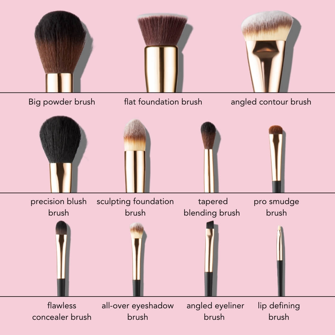 Aria Pro 12-piece makeup brush set infographic featuring labeled powder, foundation, contour, and blending brushes.