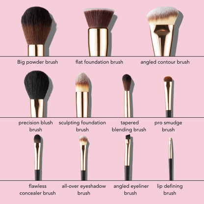 Aria Pro 12-piece makeup brush set infographic featuring labeled powder, foundation, contour, and blending brushes.