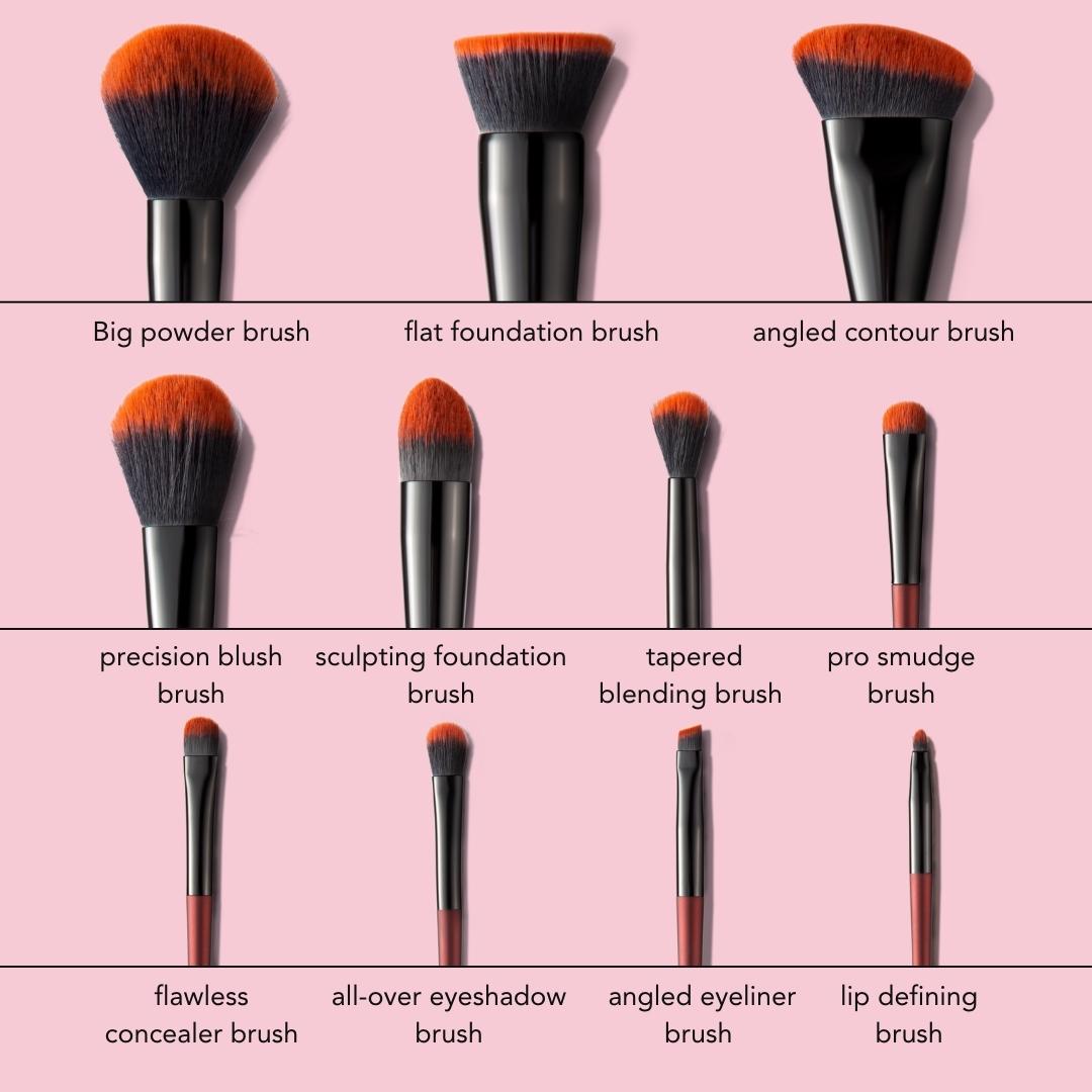 Aria Pro 12-piece makeup brush set infographic showing labeled professional brushes for powder, foundation, and eyes.